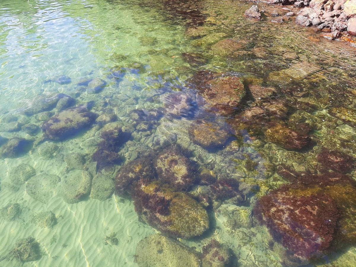 Casa Maravilhosa A Beira Mar Em Angra Dos Reis Villa Bagian luar foto
